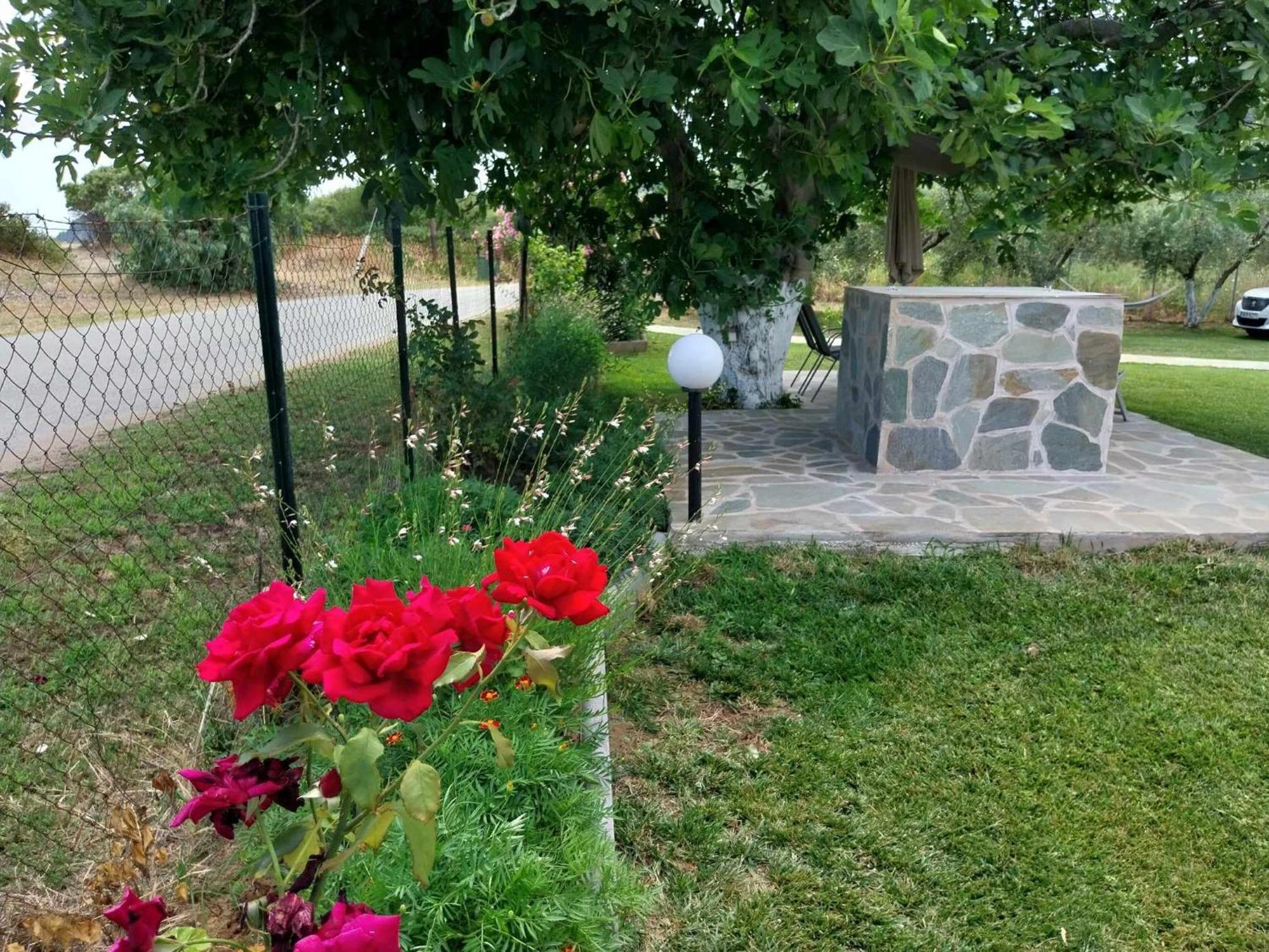 Bill & Eva'S Precious Jewel Villa Pyrgadikia Luaran gambar